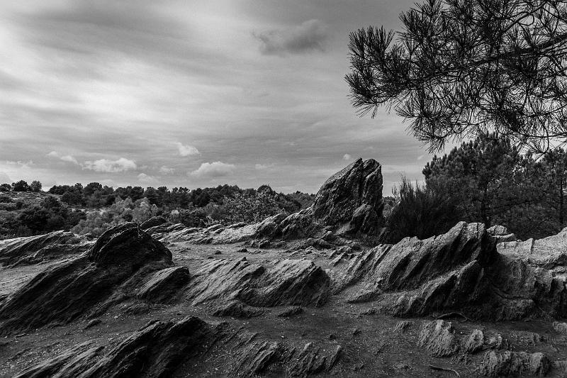 2019_09_09_Bretagne (0055).jpg - Brocéliande (Tréhorenteuc septembre 2019)